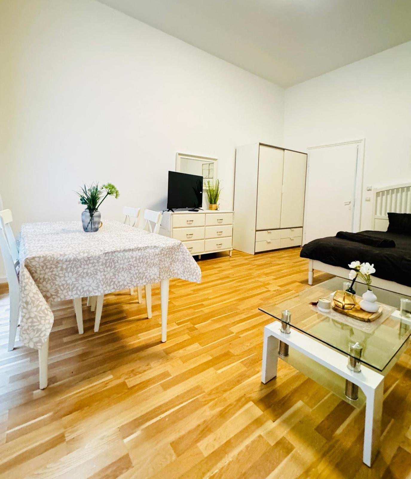 Comfortable Apt, 15minutes To Rathausplatz Apartment