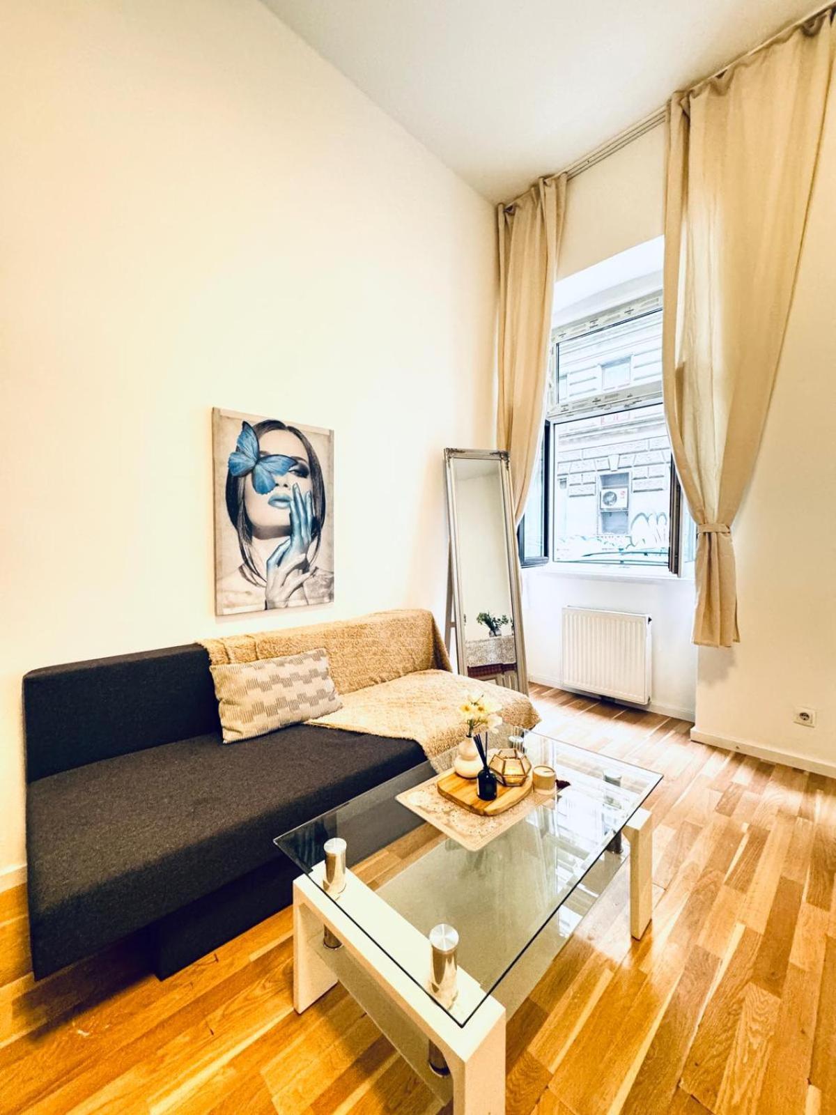 Comfortable Apt, 15minutes To Rathausplatz Apartment