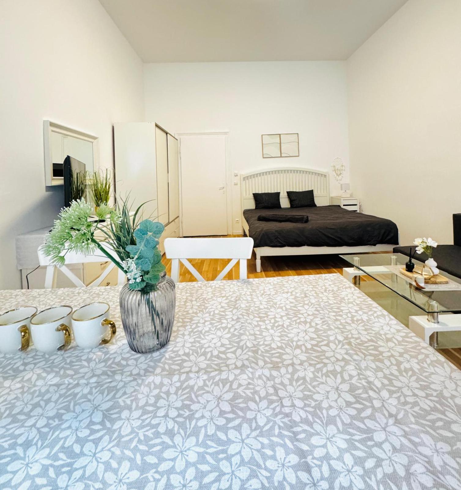 Comfortable Apt, 15minutes To Rathausplatz Apartment